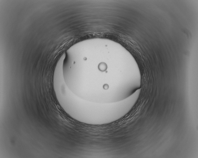 X0000113081060200909250945