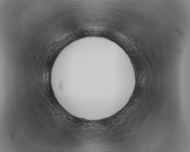 X0000113081061200909250945