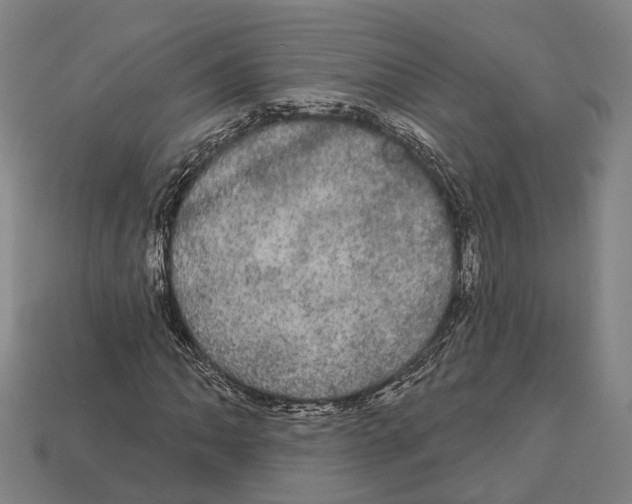 X0000113081062200909250945