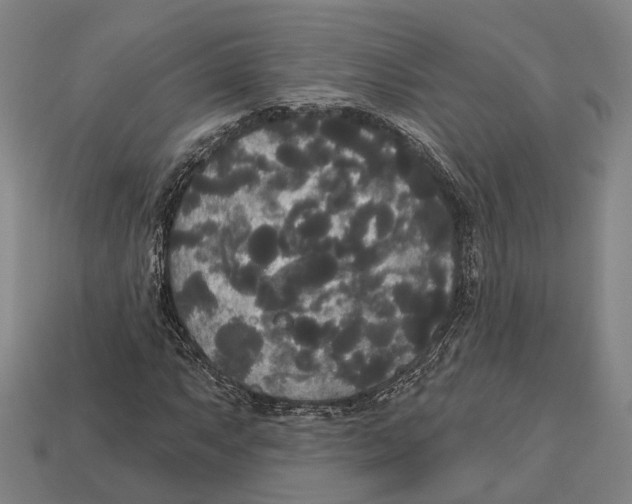 X0000113081063200909250945