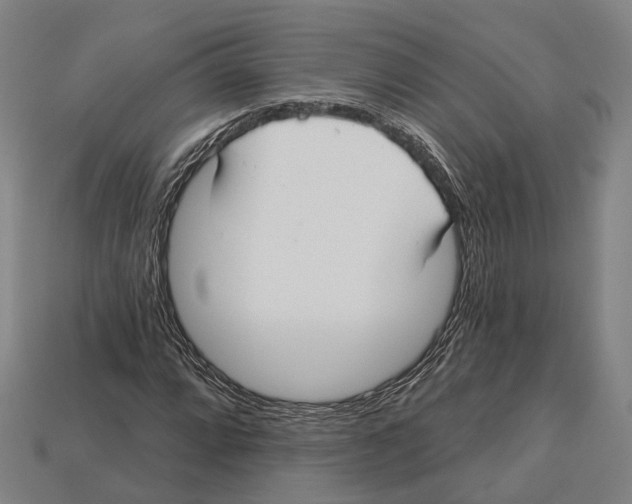 X0000113081064200909250945