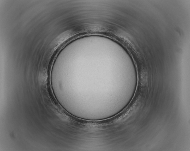 X0000113081065200909250945