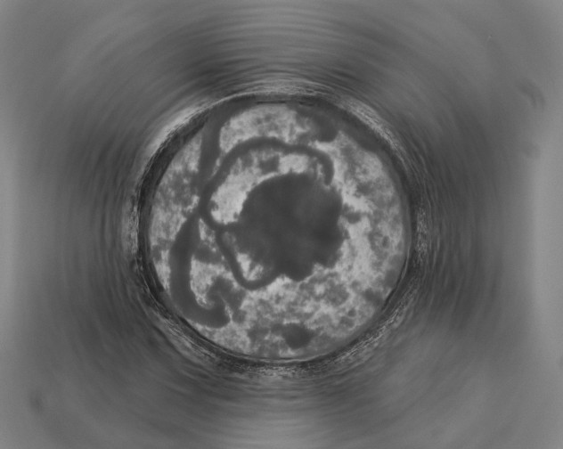 X0000113081067200909250945