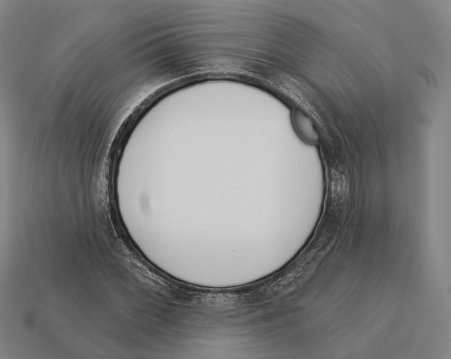 X0000113081068200909250945