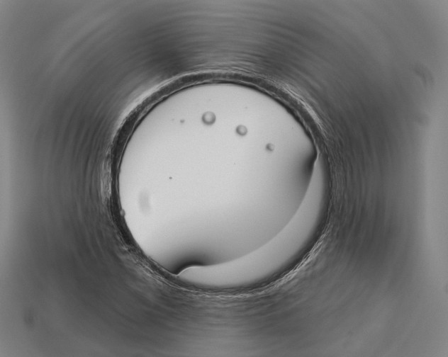 X0000113081069200909250945