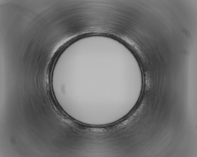 X0000113081070200909250945