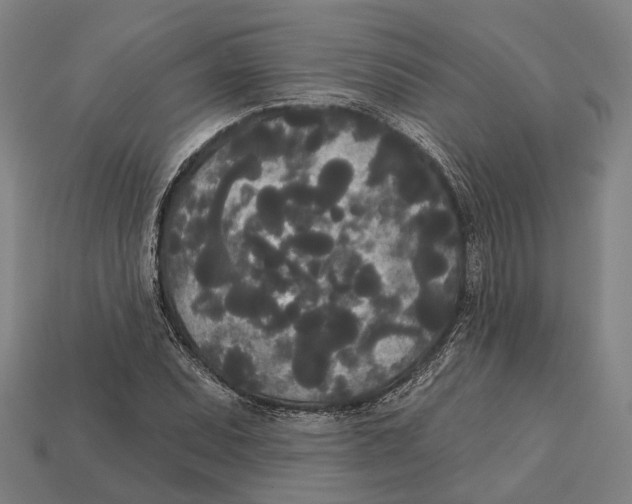 X0000113081071200909250945