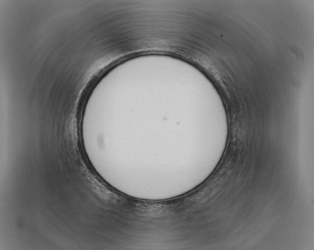 X0000113081072200909250945