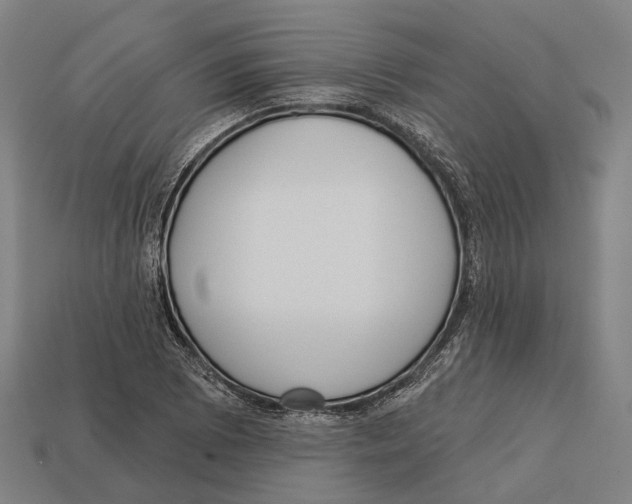 X0000113081073200909250945