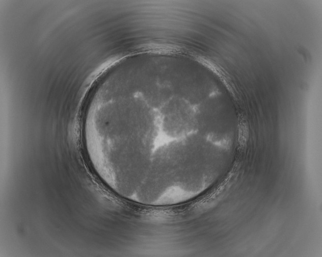 X0000113081074200909250945