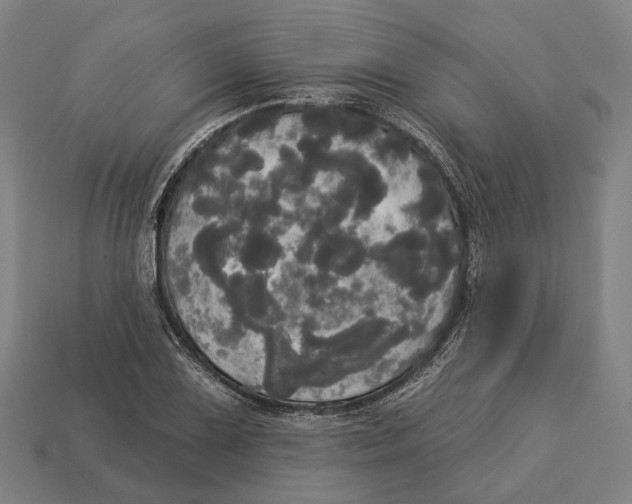 X0000113081075200909250945