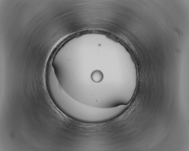 X0000113081076200909250945