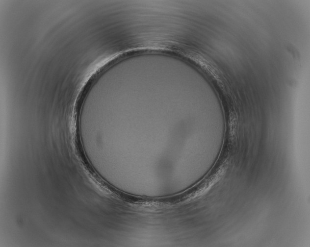 X0000113081077200909250945