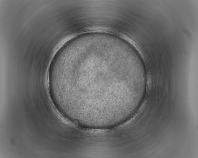 X0000113081082200909250944