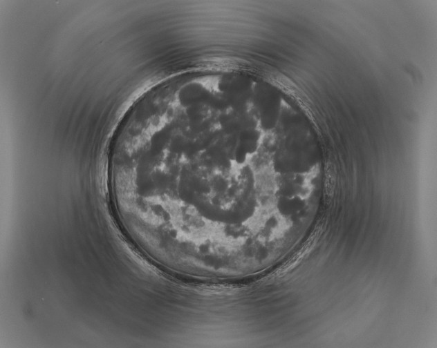 X0000113081083200909250944