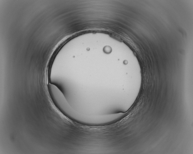 X0000113081084200909250944