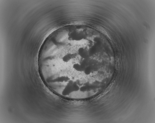 X0000113081087200909250944