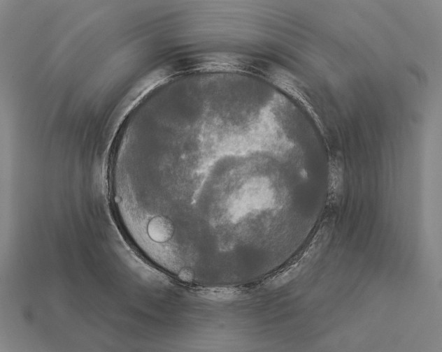 X0000113081090200909250944