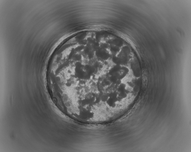 X0000113081091200909250944