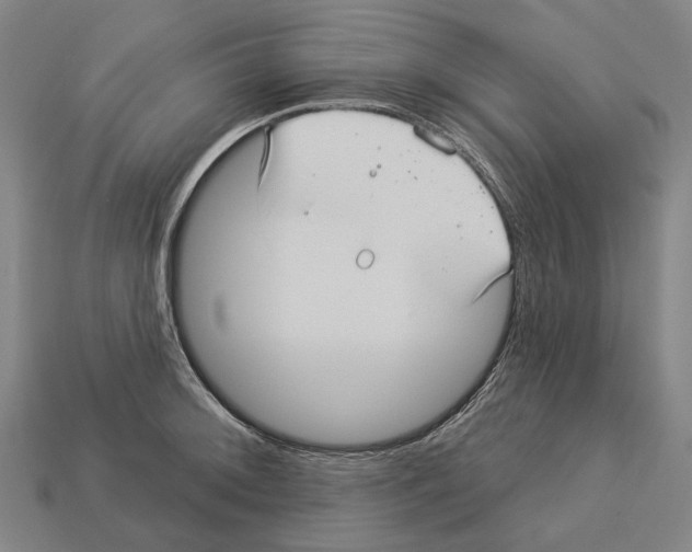 X0000113081092200909250944