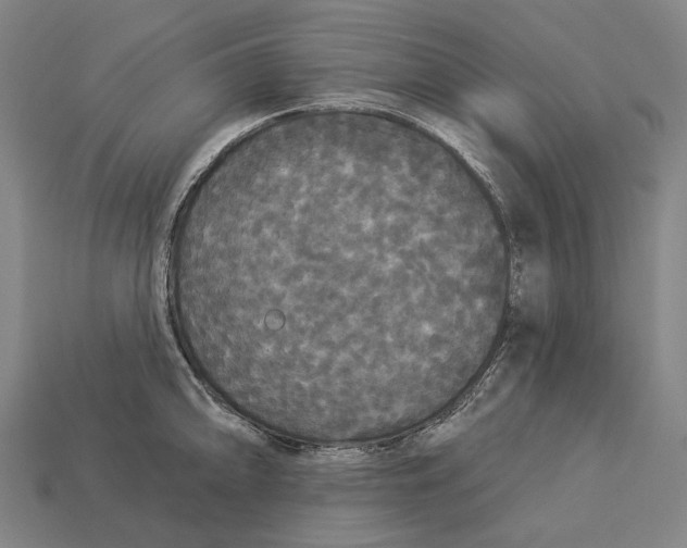 X0000113081094200909250944