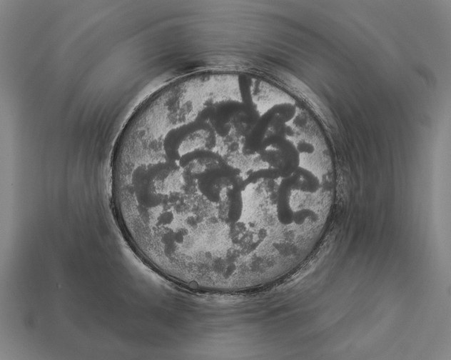 X0000113081095200909250944