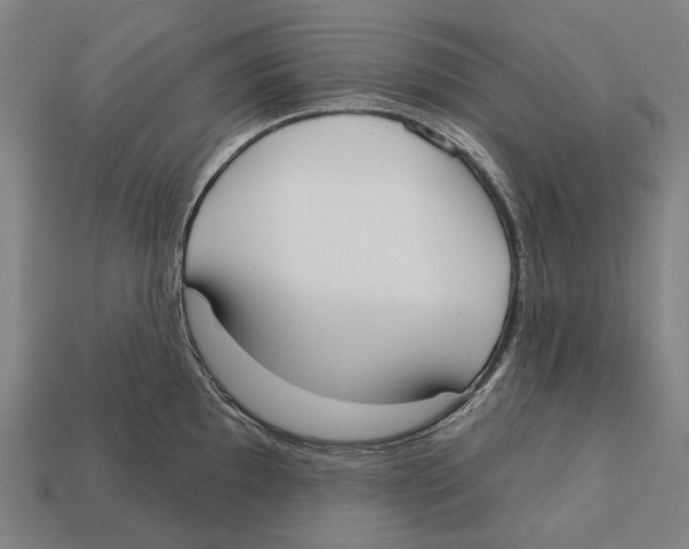 X0000113081097200909250944