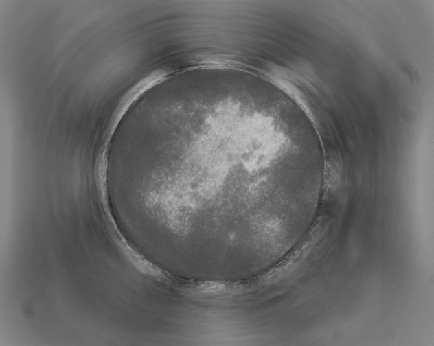 X0000113081098200909250944