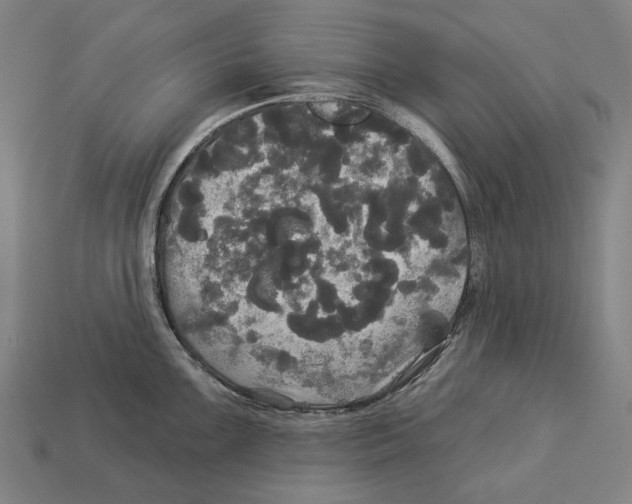 X0000113081099200909250944