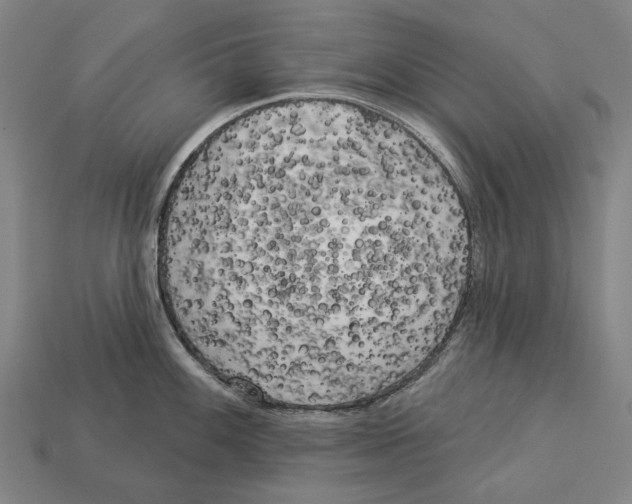 X0000113081100200909250944