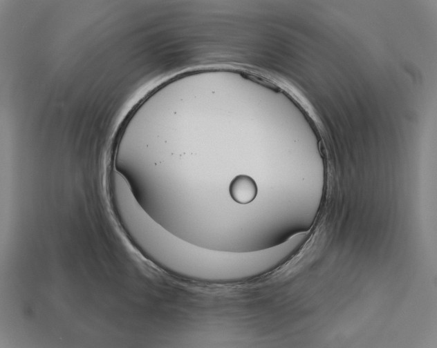 X0000113081101200909250944