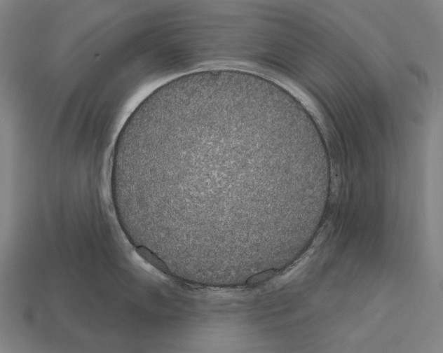 X0000113081102200909250944