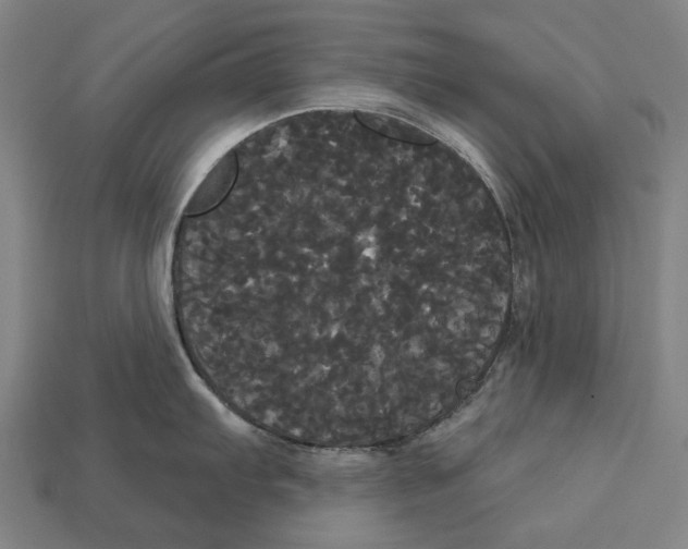 X0000113081103200909250944