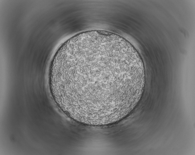X0000113081104200909250944