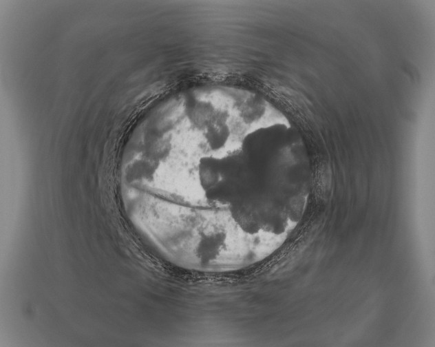X0000113081105200909250944