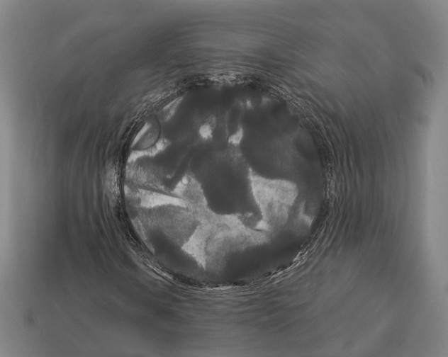 X0000113081106200909250944