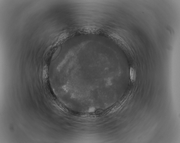 X0000113081107200909250944