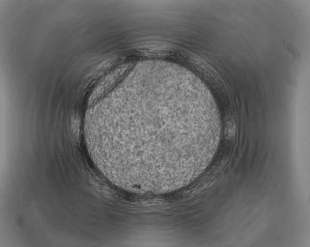 X0000113081108200909250944