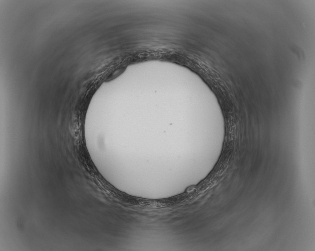 X0000113081109200909250944