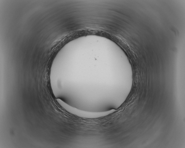 X0000113081110200909250944