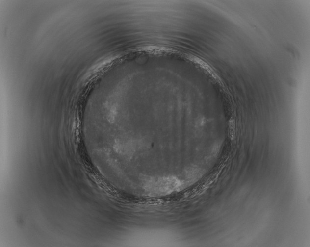 X0000113081111200909250944