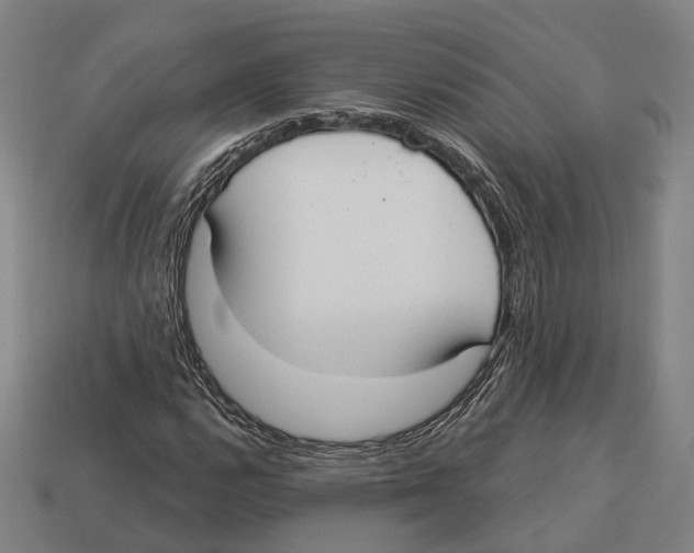 X0000113081112200909250944