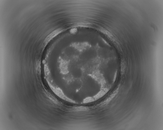 X0000113081113200909250944