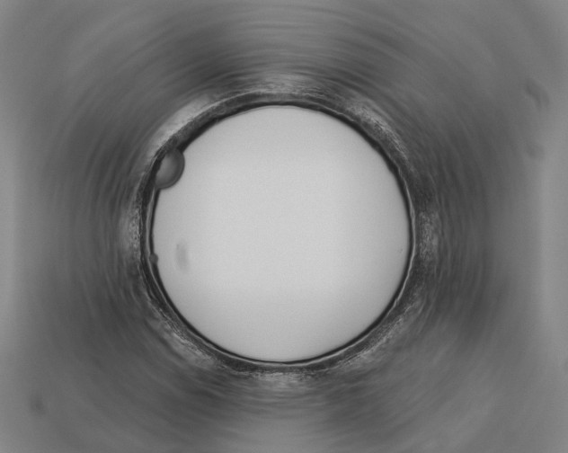 X0000113081114200909250944