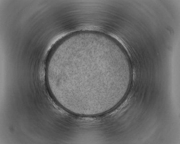 X0000113081115200909250944