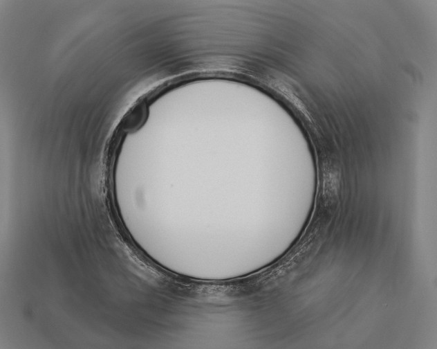 X0000113081116200909250944