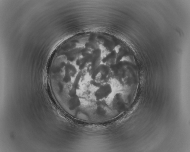 X0000113081117200909250944
