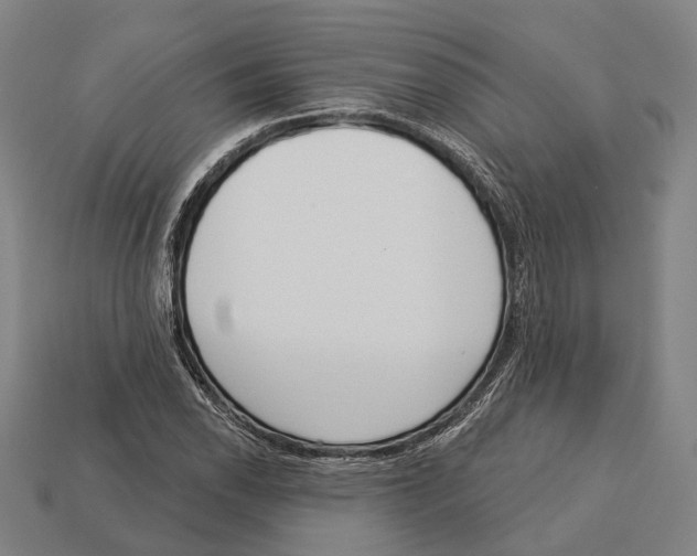 X0000113081118200909250944