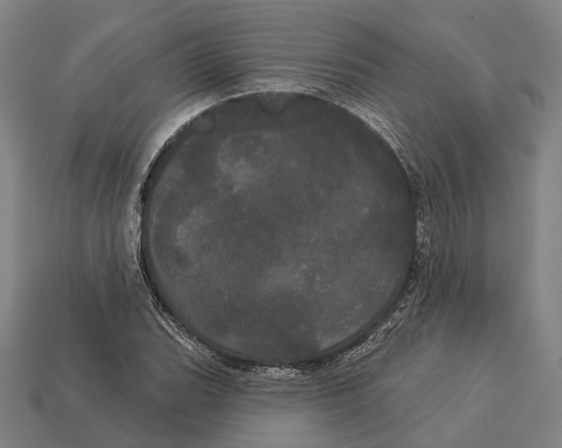 X0000113081119200909250944