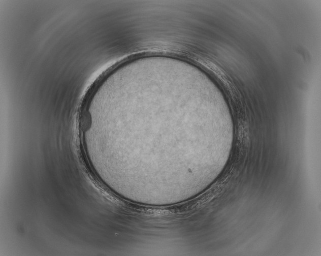 X0000113081120200909250944